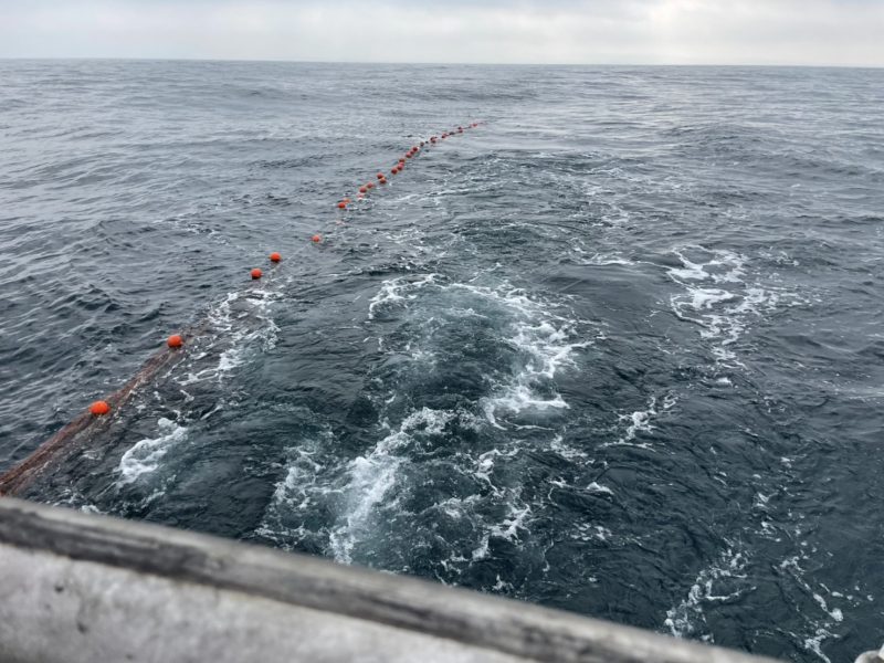 高浜漁港で捕れた牡蠣・海産物・魚介類の直販サイト|加藤水産(日昇丸)