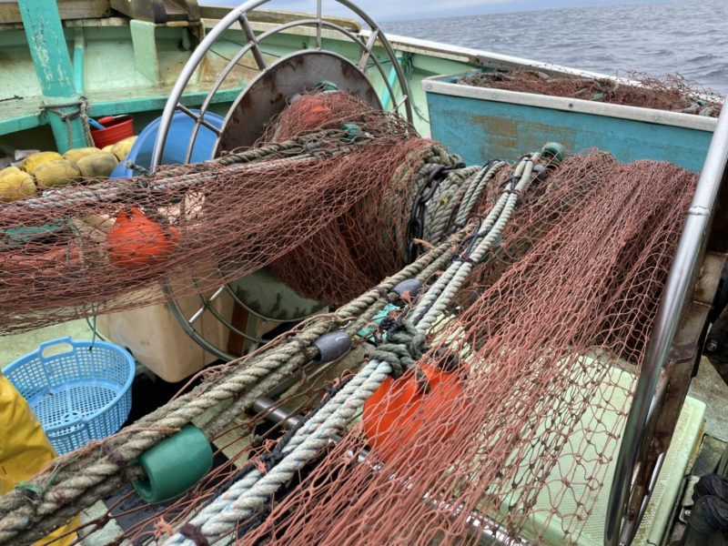 高浜漁港で捕れた牡蠣・海産物・魚介類の直販サイト|加藤水産(日昇丸)