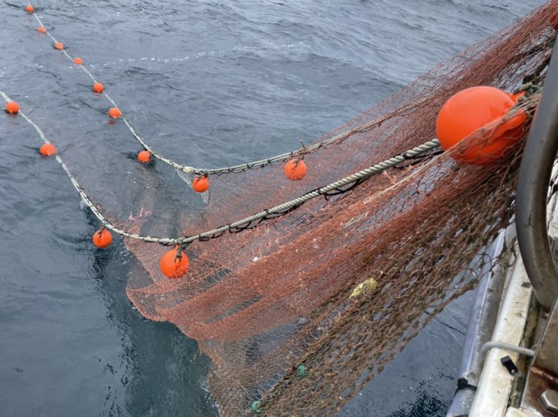 高浜漁港で捕れた牡蠣・海産物・魚介類の直販サイト|加藤水産(日昇丸)