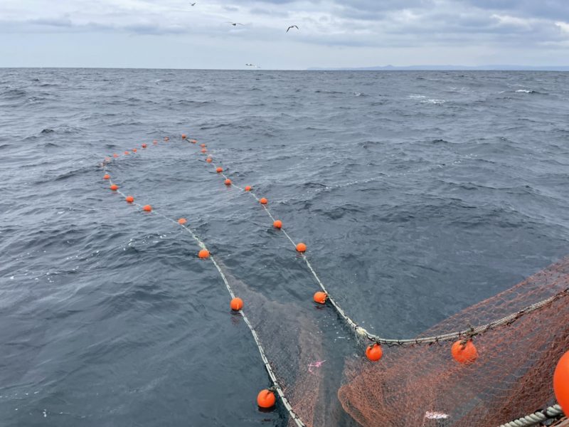 高浜漁港で捕れた牡蠣・海産物・魚介類の直販サイト|加藤水産(日昇丸)