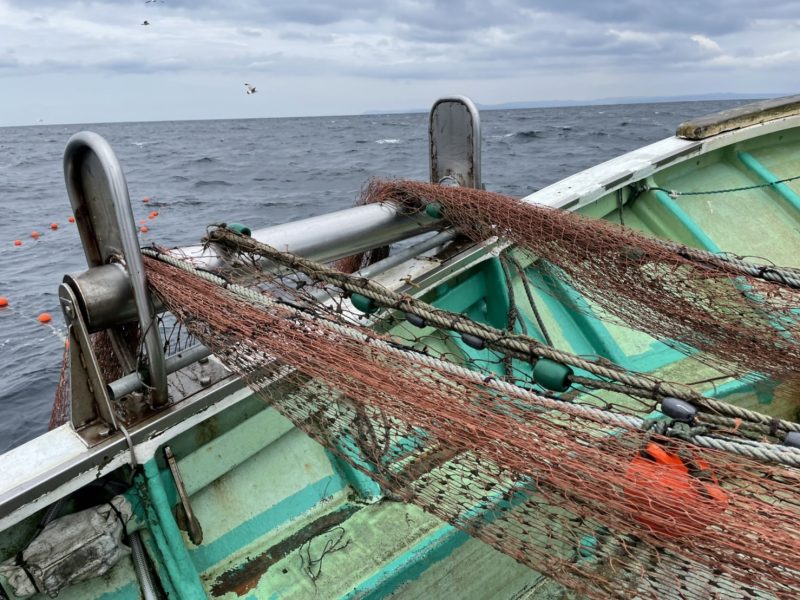 高浜漁港で捕れた牡蠣・海産物・魚介類の直販サイト|加藤水産(日昇丸)
