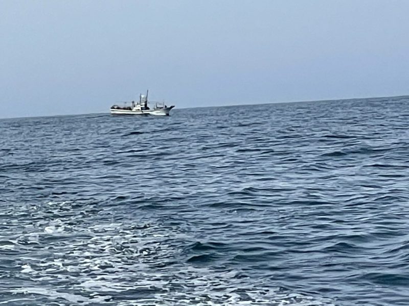 高浜漁港で捕れた牡蠣・海産物・魚介類の直販サイト|加藤水産(日昇丸)