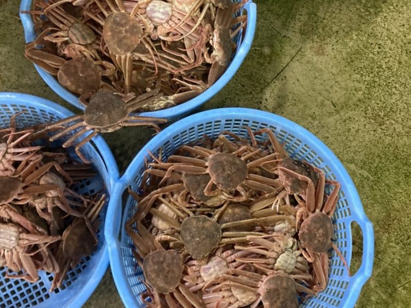 高浜漁港で捕れた牡蠣・海産物・魚介類の直販サイト|加藤水産(日昇丸)