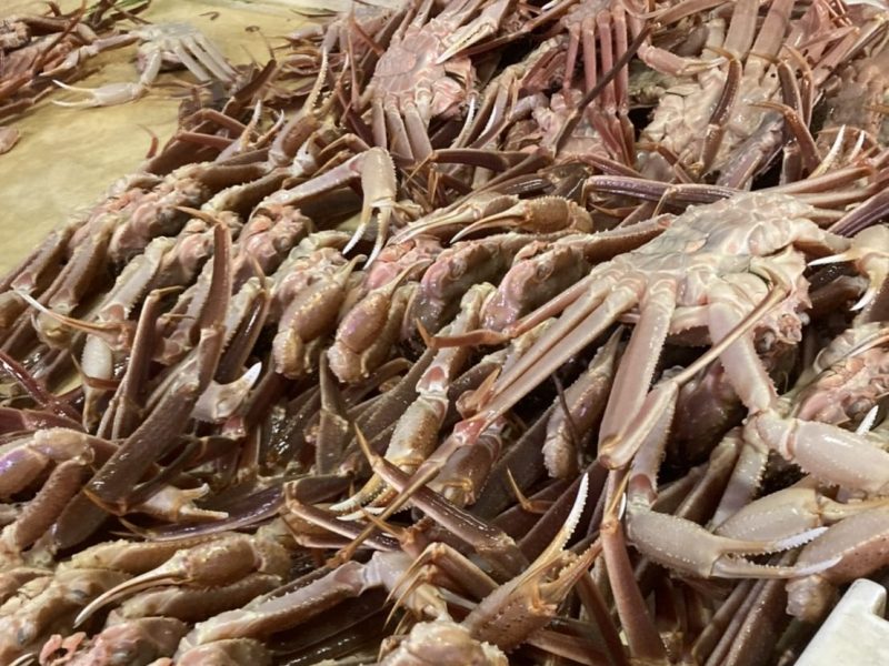 高浜漁港で捕れた牡蠣・海産物・魚介類の直販サイト|加藤水産(日昇丸)