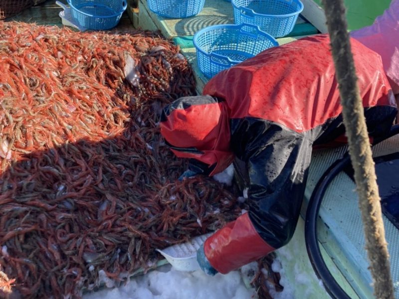 高浜漁港で捕れた牡蠣・海産物・魚介類の直販サイト|加藤水産(日昇丸)